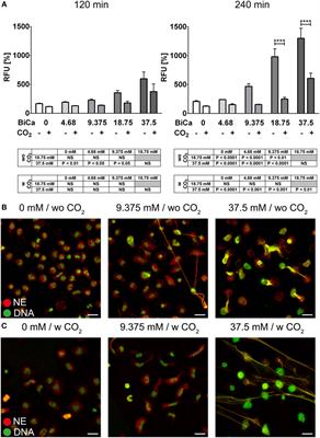 Ménage-à-Trois: The Ratio of Bicarbonate to CO2 and the pH Regulate the Capacity of Neutrophils to Form NETs